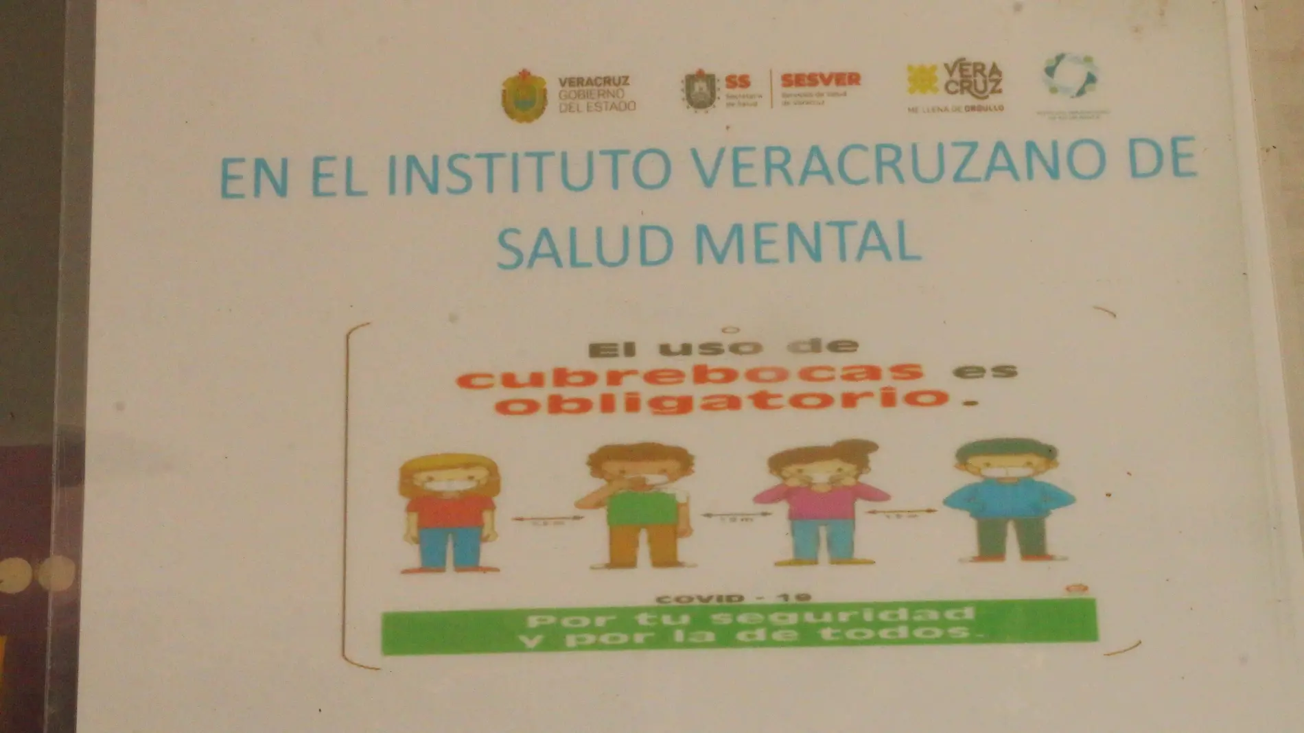 Salud mental | Instituto Veracruzano de Salud Mental “Dr